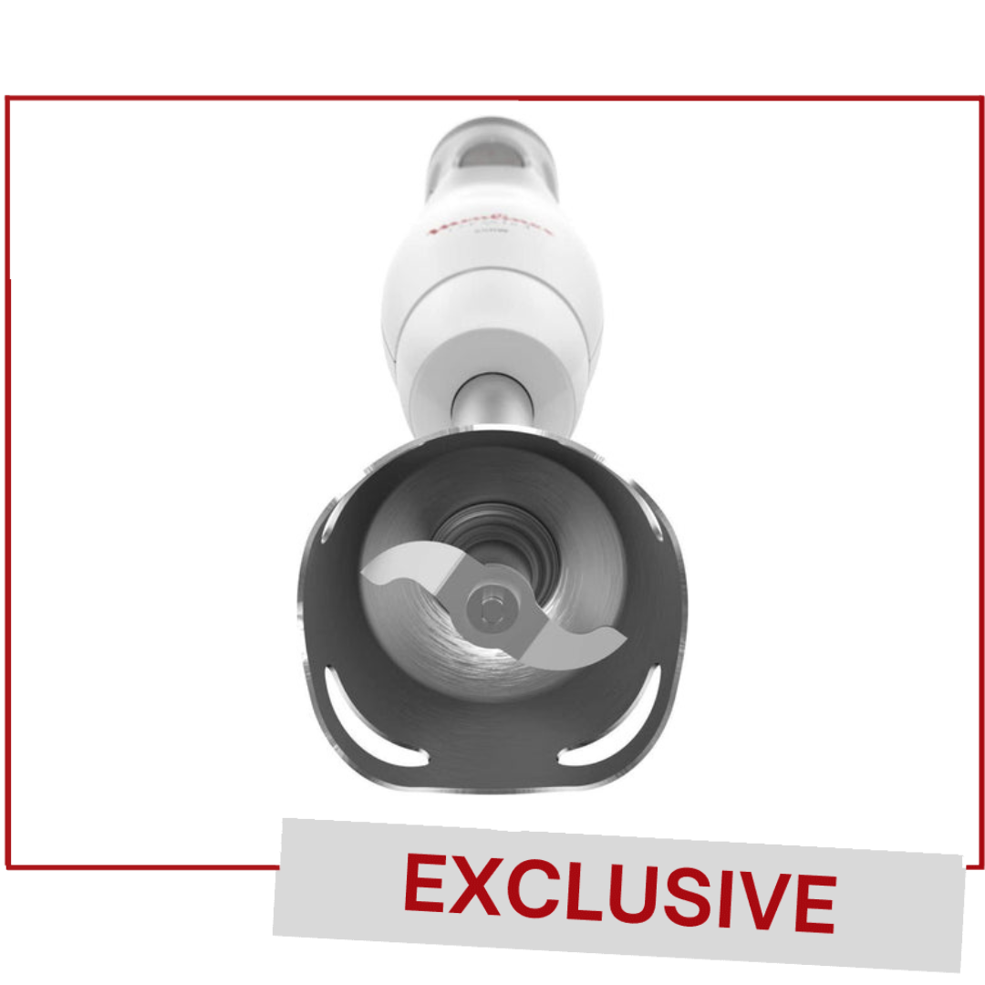 MOULINEX HAND BLENDER EASYCHEF DD45A110